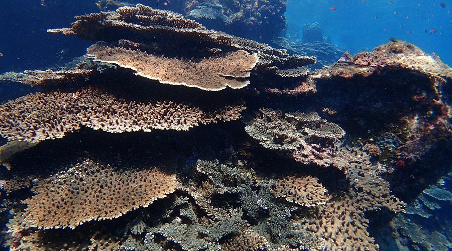 🏝️ 가마우지 오는 섬(우구루시마) 이미지 6